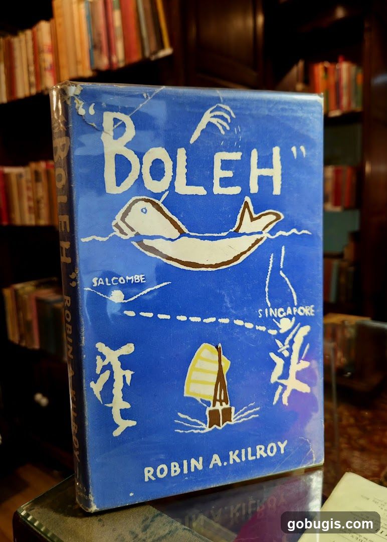 Boleh by Robin A. Kilroy