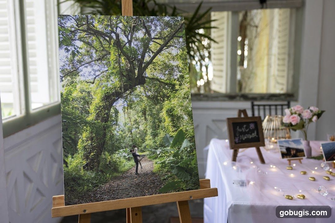 Wedding Display