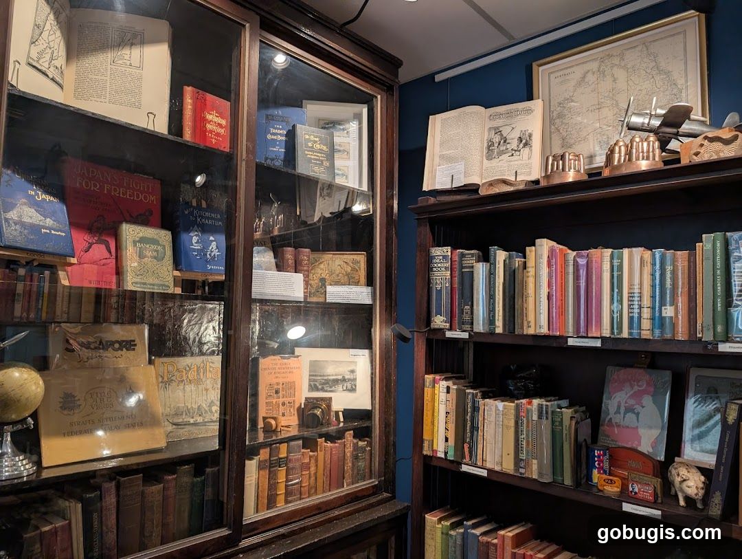 Books and Collectibles Display