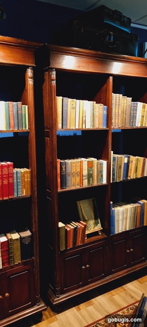 Bookshelves with antique books