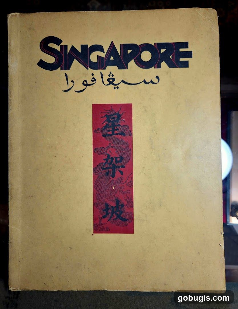 Singapore Book Cover