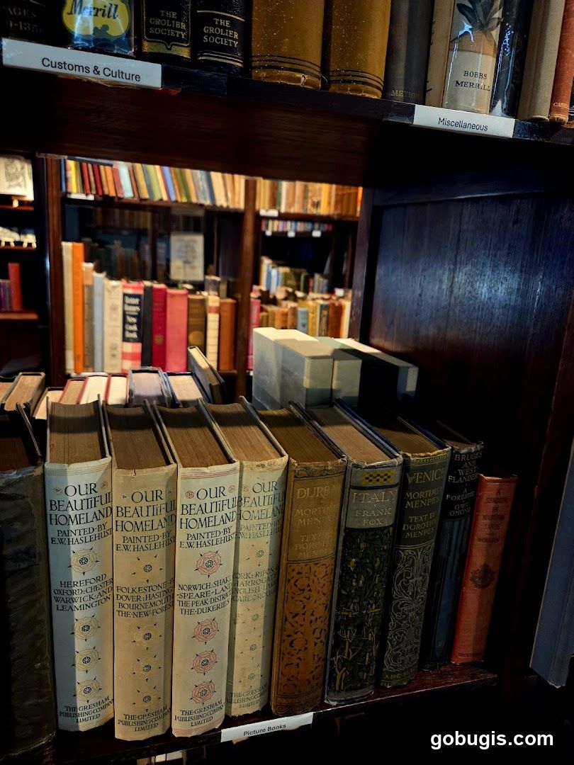 Books on Shelves