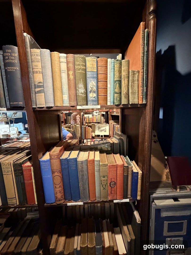 Books on Shelves