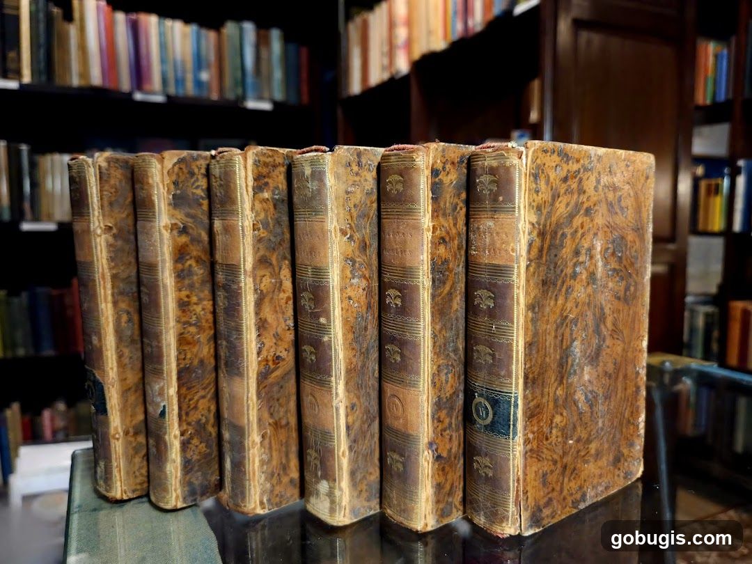 Antique Books on a Shelf