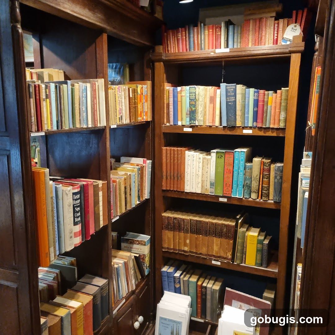 Bookshelves in a store