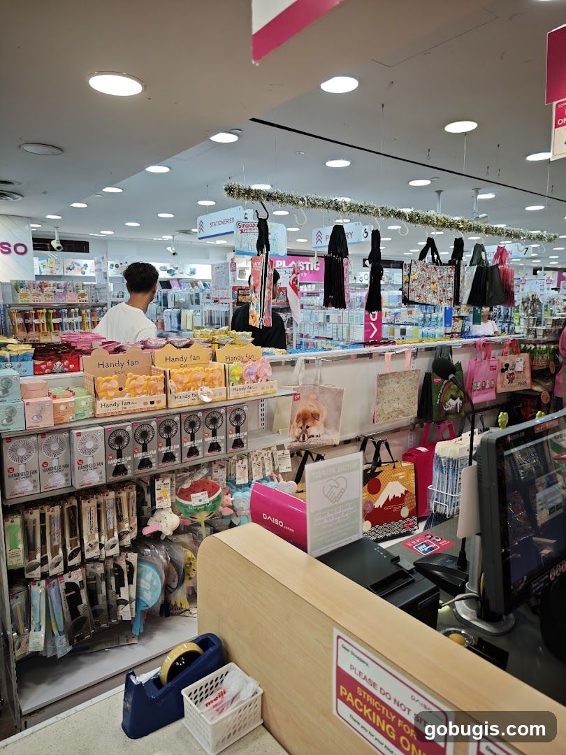 Daiso Store Interior