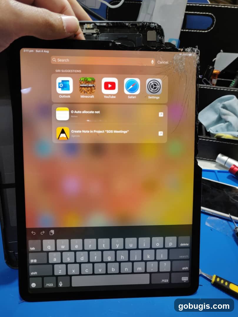 Damaged iPad Screen