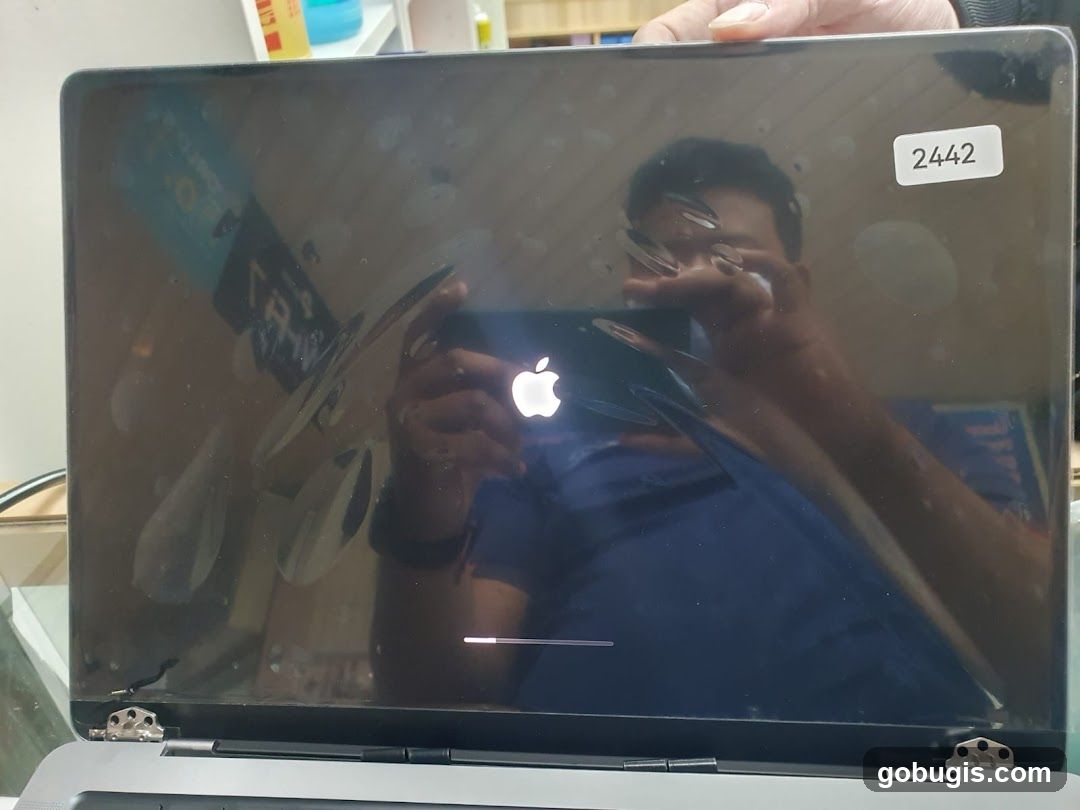 Laptop Screen with Apple Logo