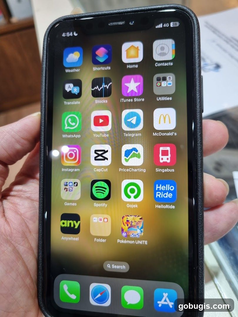 iPhone Home Screen