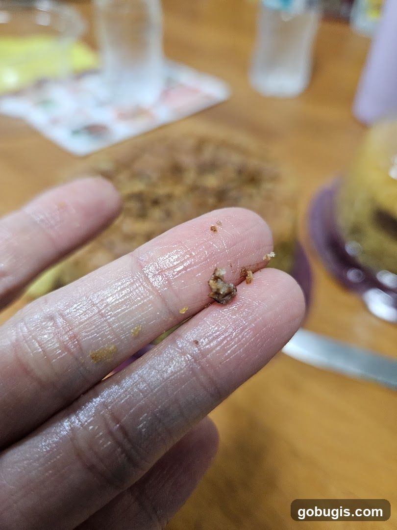 Close-up of crumbs on fingers