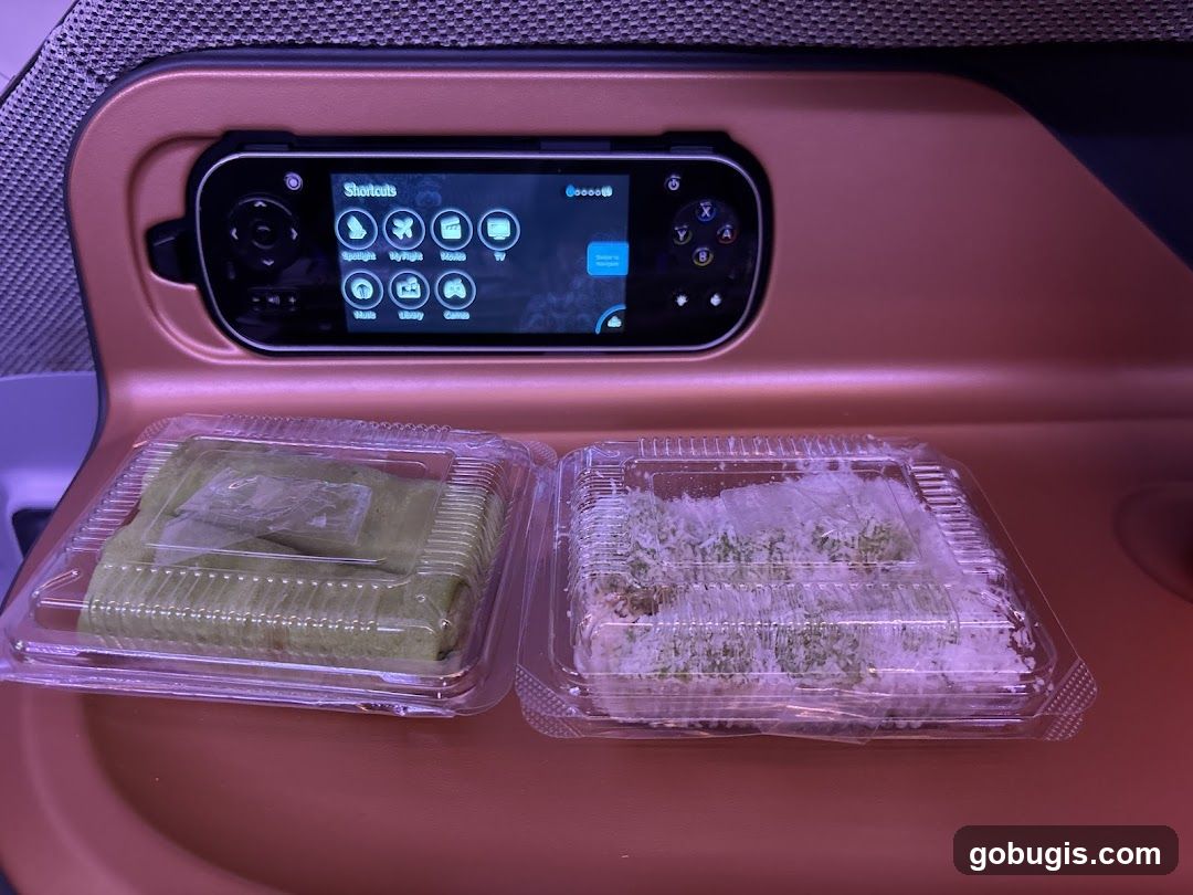 Airplane Snack