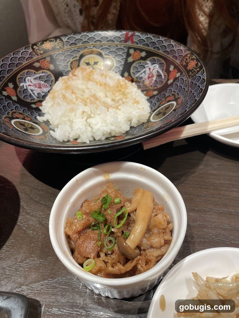 Japanese Rice and Beef Dish