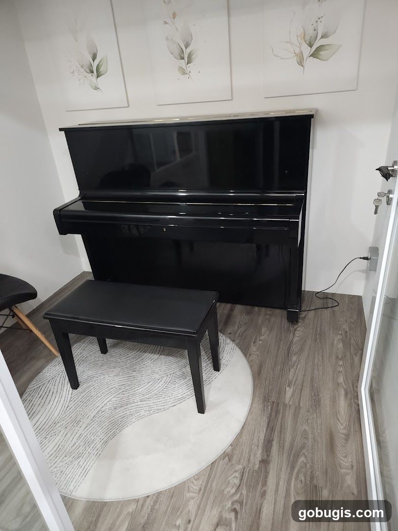 Piano and Bench Setup