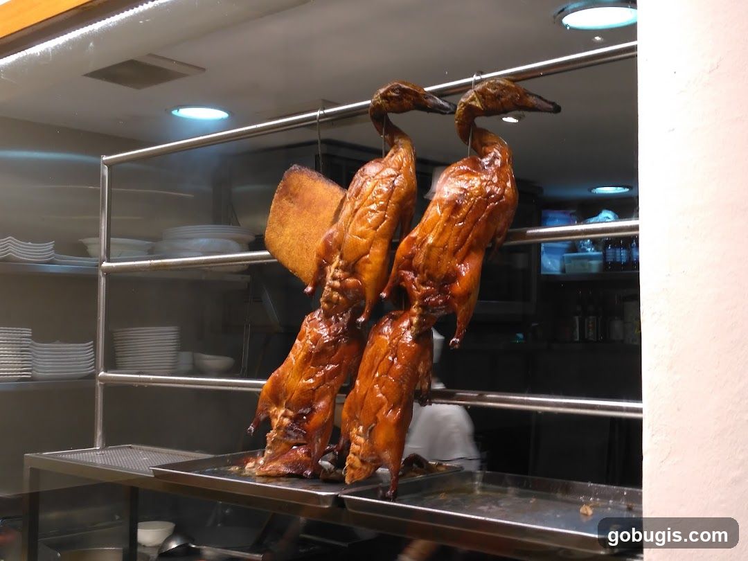 Roasted Duck Delight