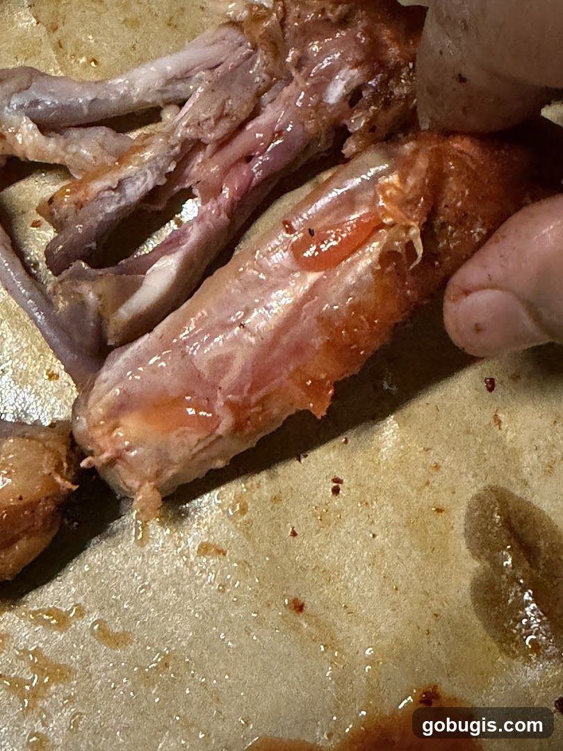 Cooked Chicken Bones