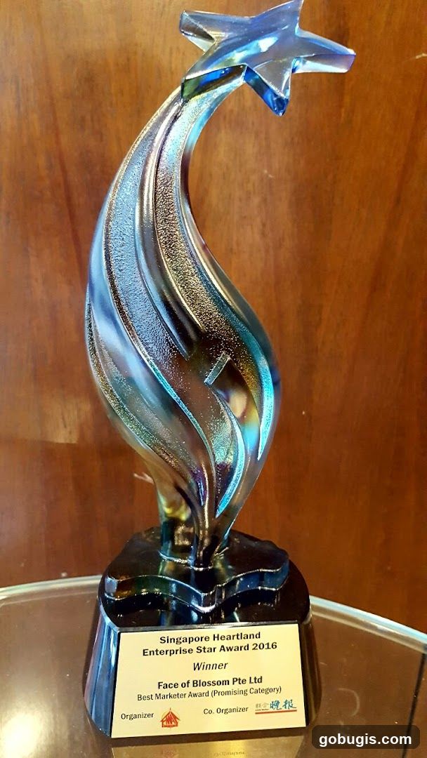 Singapore Heartland Enterprise Star Award 2016