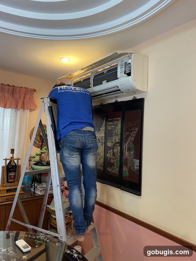 Air Conditioner Maintenance