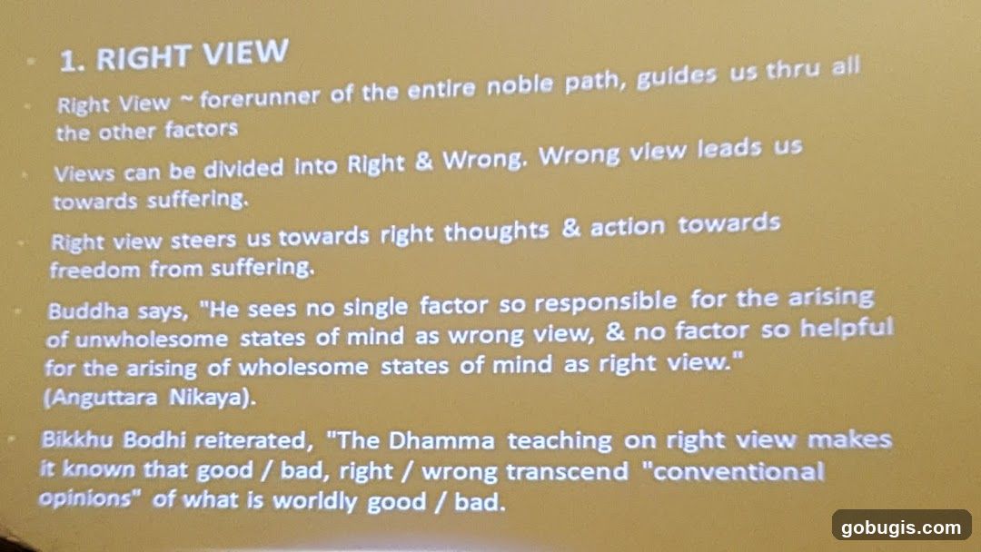 Presentation Slide on Right View