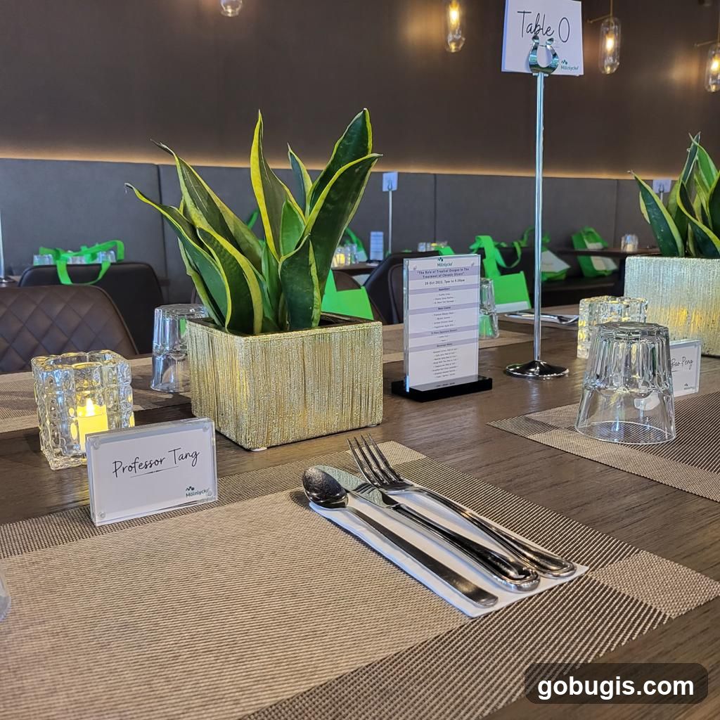 Table Setting with Name Card and Menu