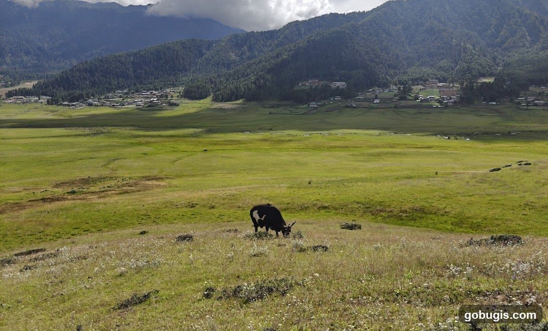 Pastoral Landscape with Cattle and Village
