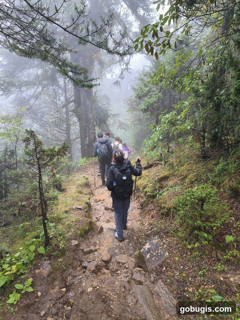 Hikers on a Misty Mountain Trail