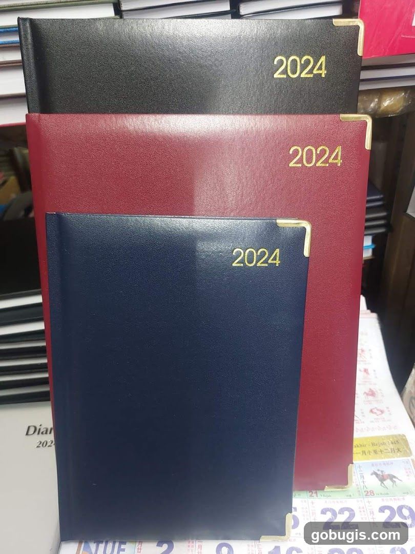 2024 Diaries