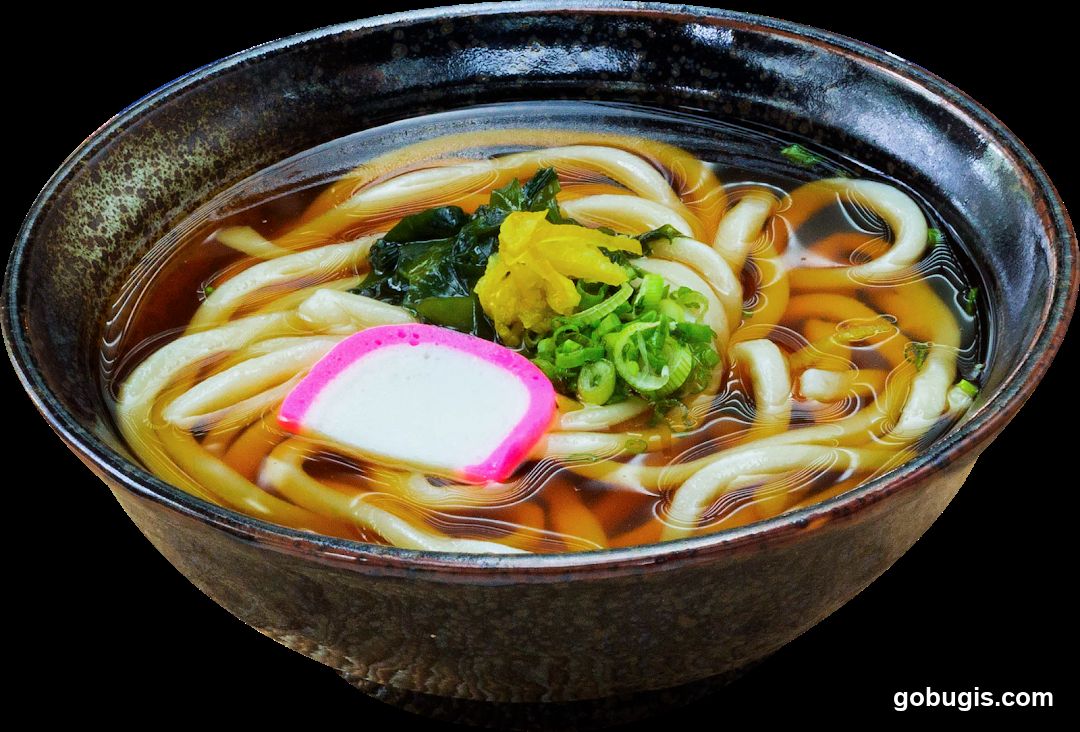 Udon Noodle Soup