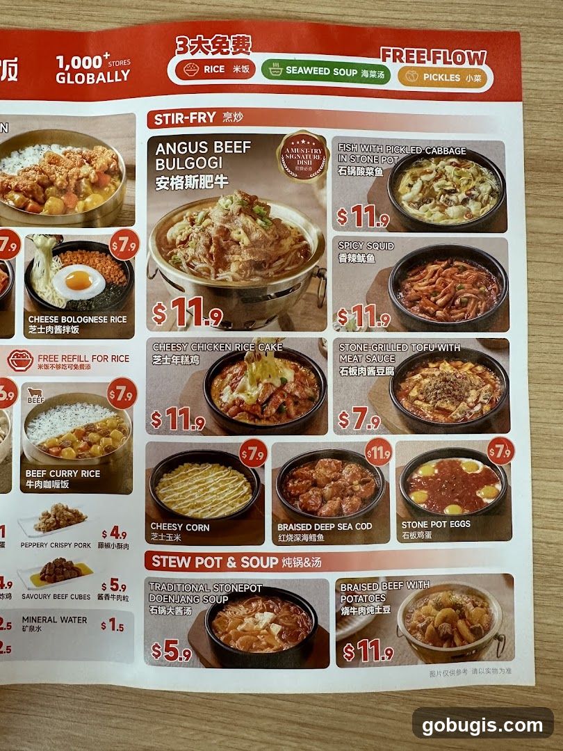 Stir-Fry, Stew Pot & Soup Menu