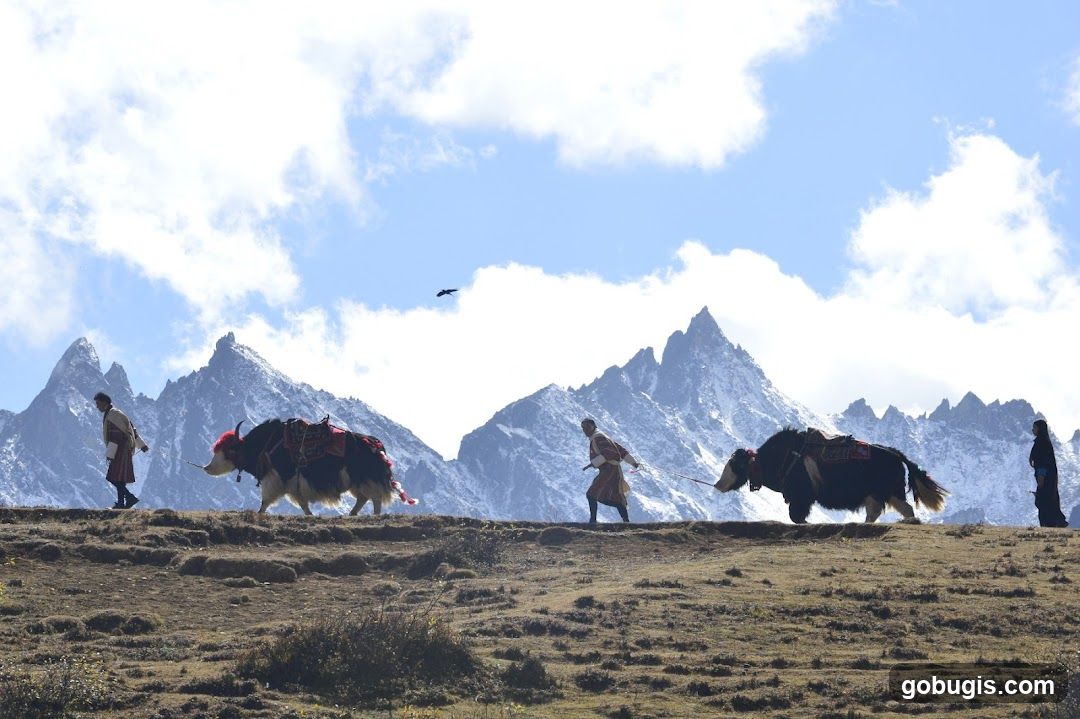 Druk Asia - Bhutan Travel Specialist