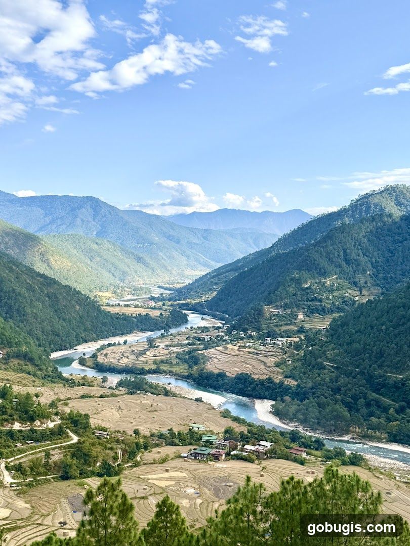 Mountain Valley Landscape