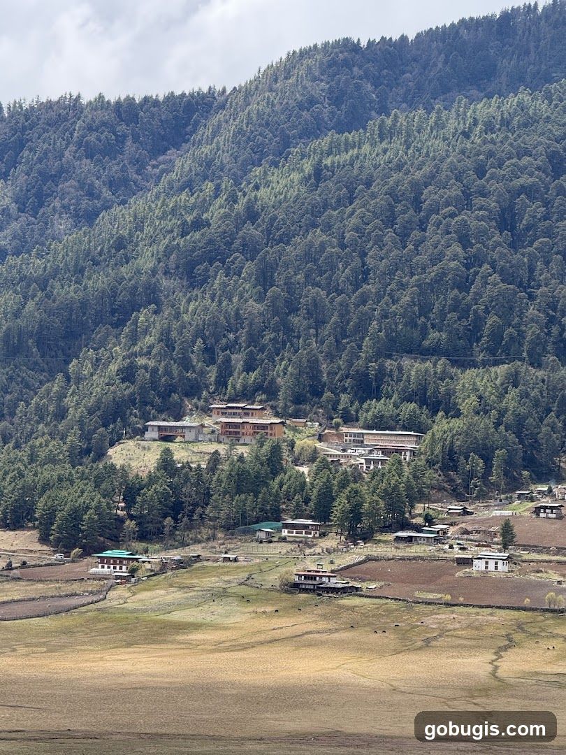 Mountain Village with Forested Hills
