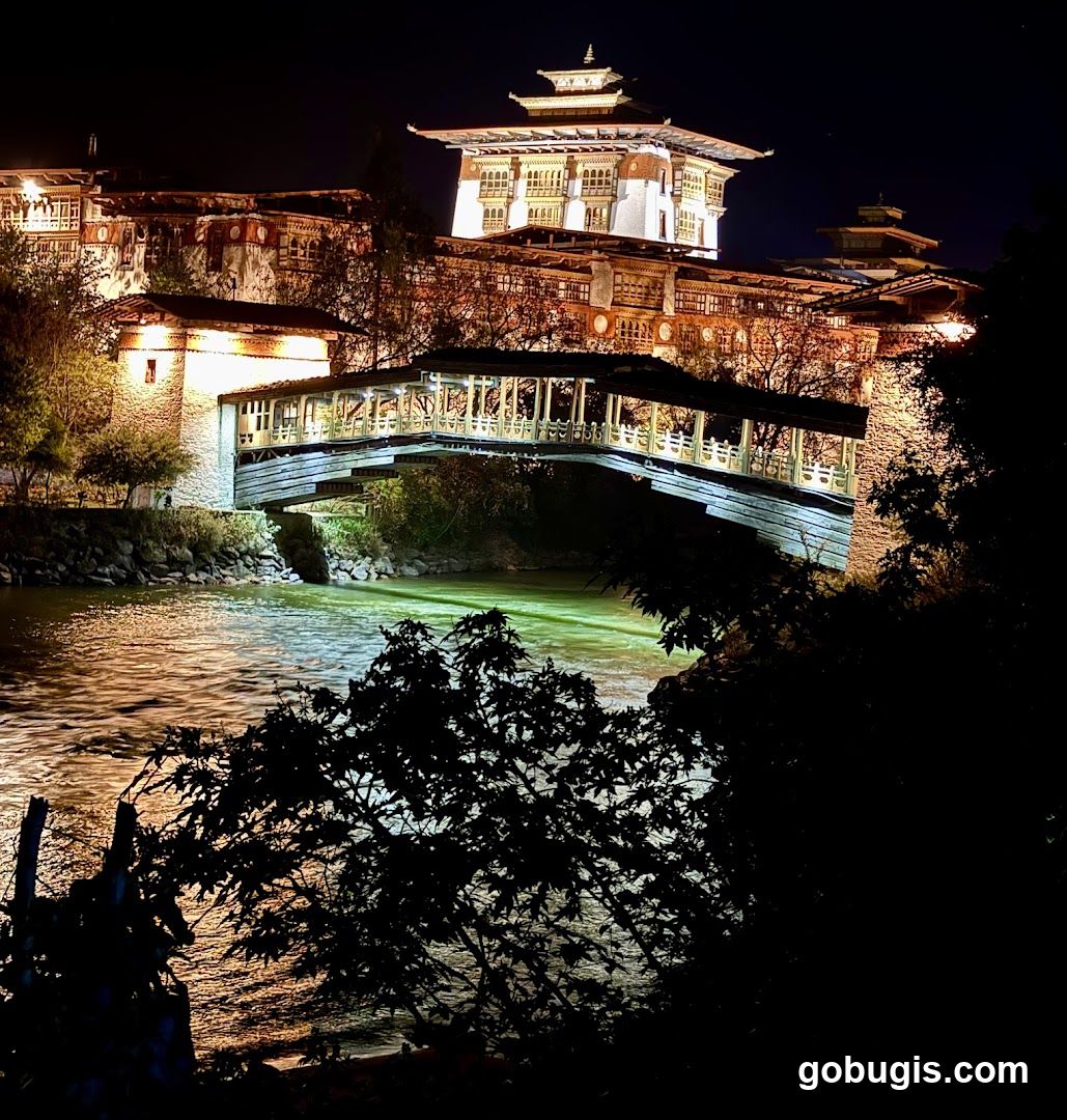 Bridge and building at night