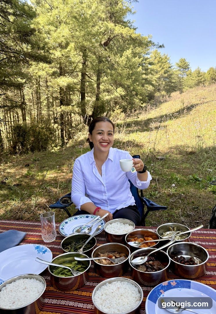 Picnic in the Woods