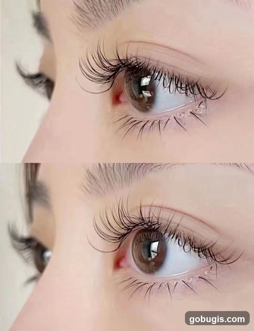 Eyelash Extensions