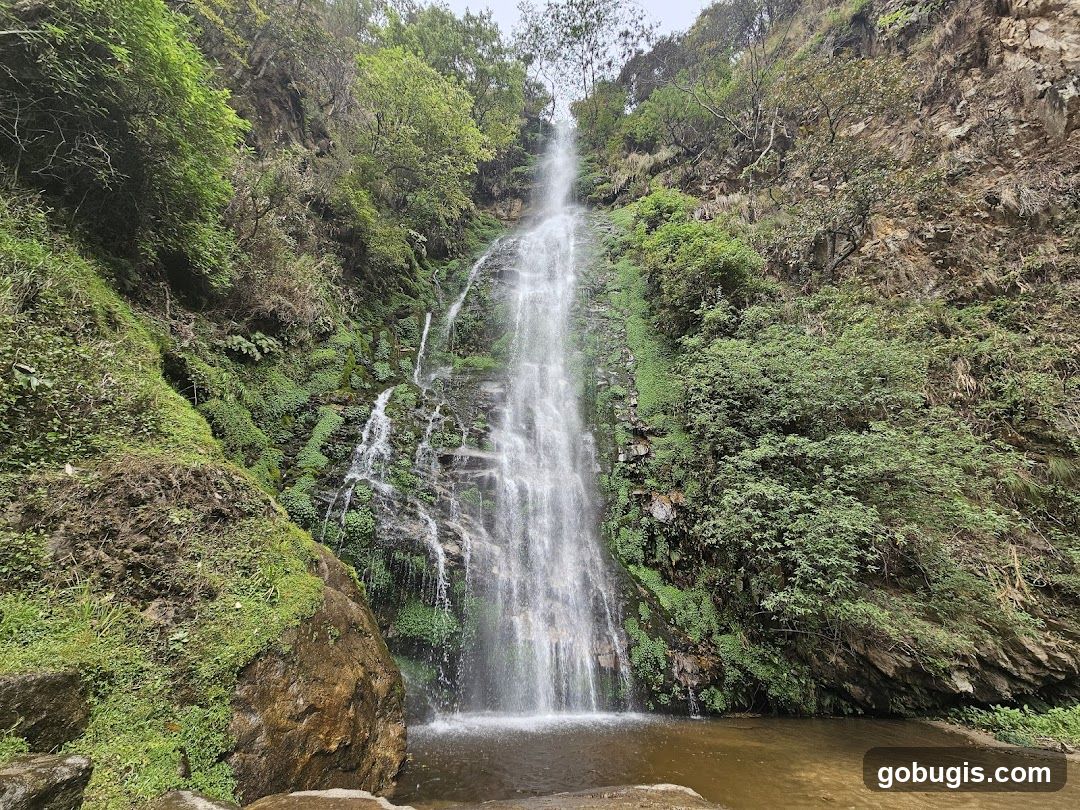 Waterfall in a Lush Green Canyon