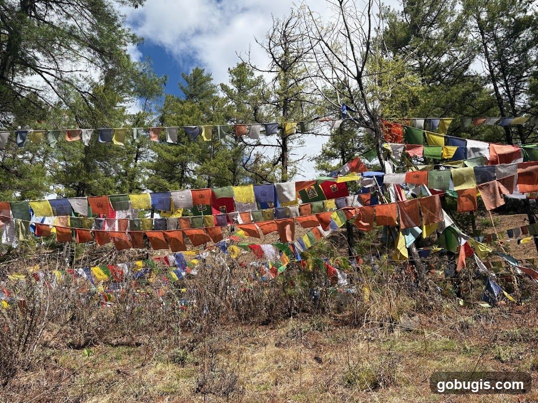 Prayer Flags in a Forest