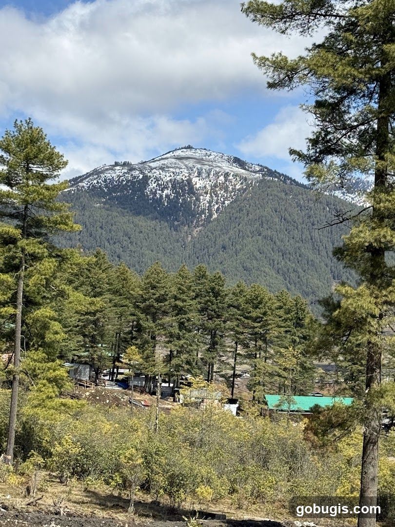Mountain Landscape with Village
