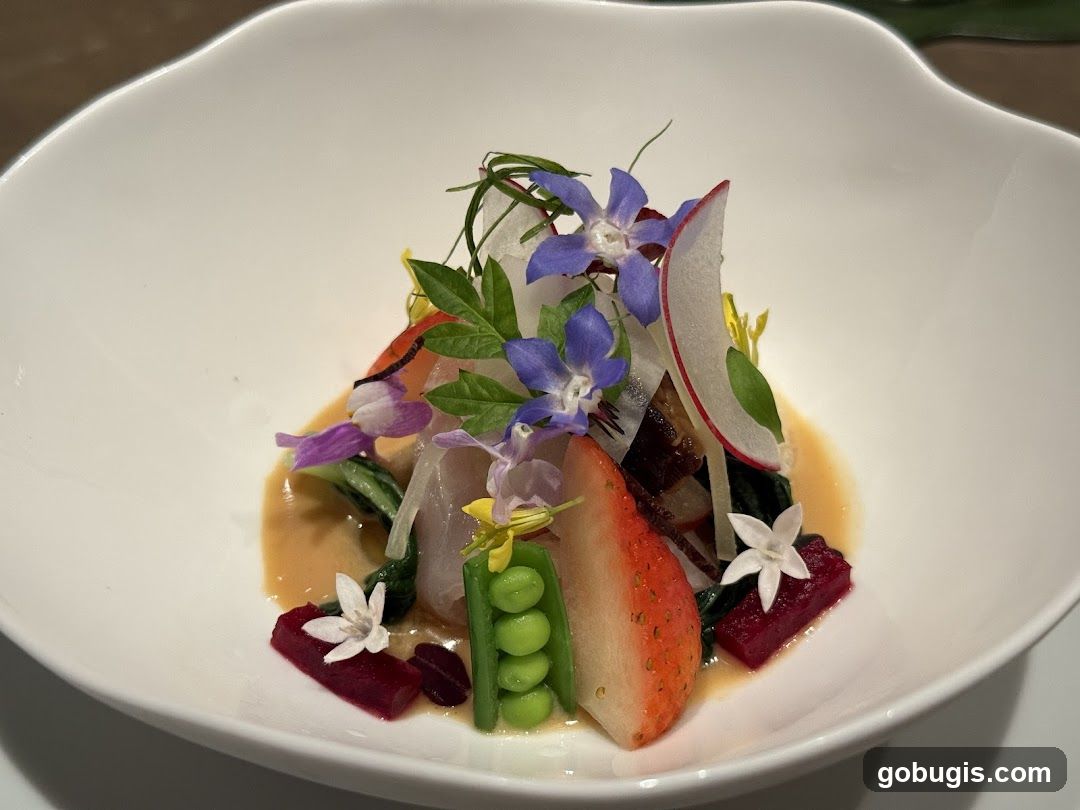 Gourmet Appetizer