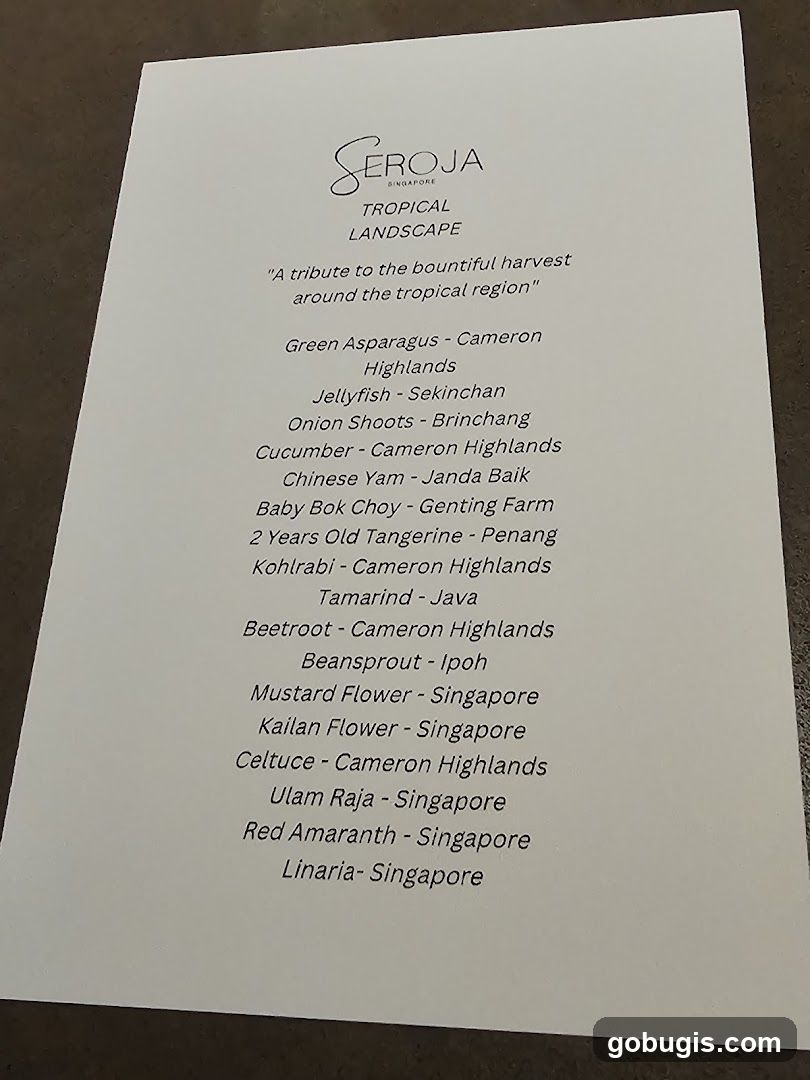 Seroja Singapore Tropical Landscape