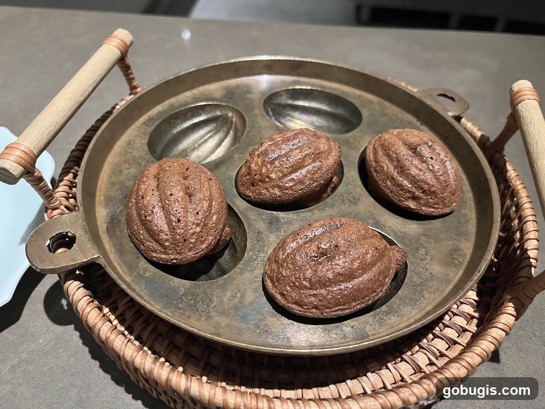 Chocolate Madeleines