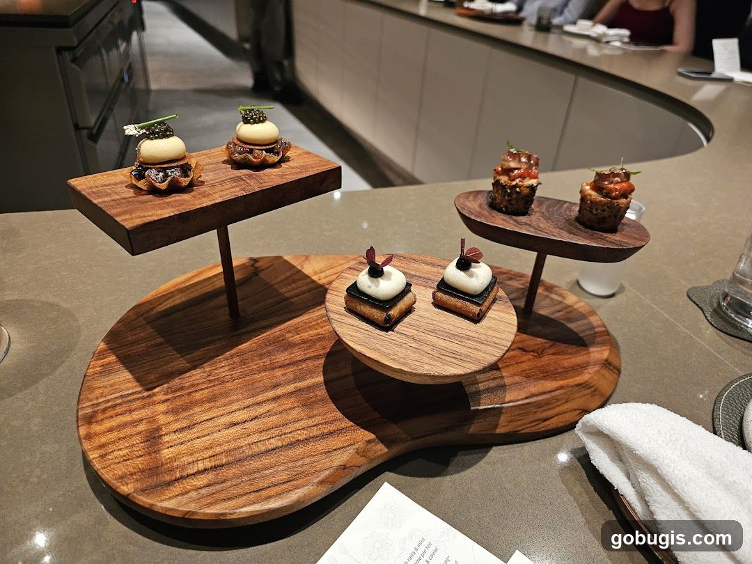 Gourmet Appetizers