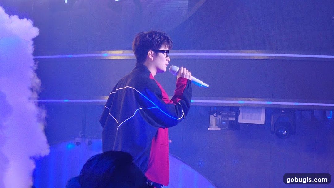 Singer on Stage