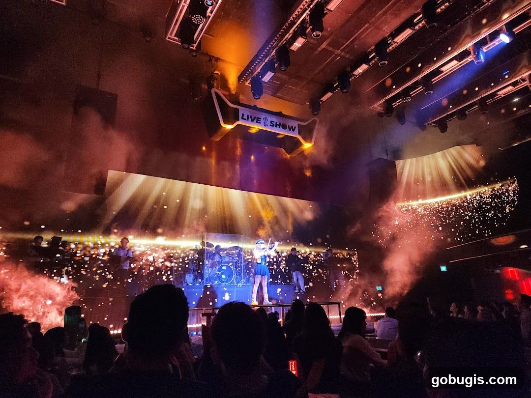 Live Show Performance