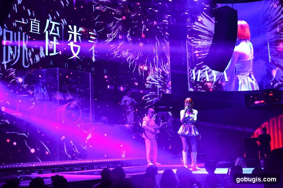 Concert Performance