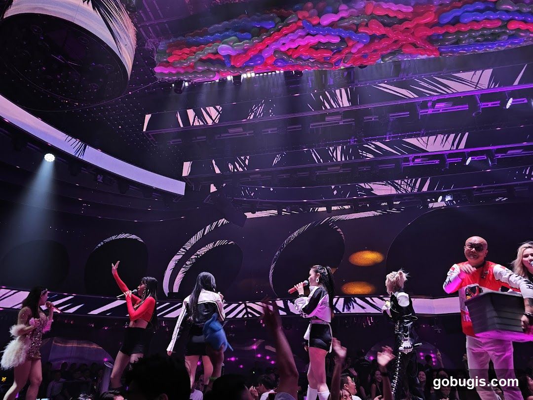 Concert Performance