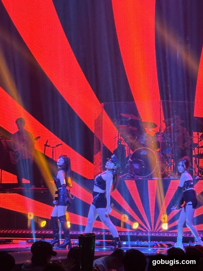 Concert Performance