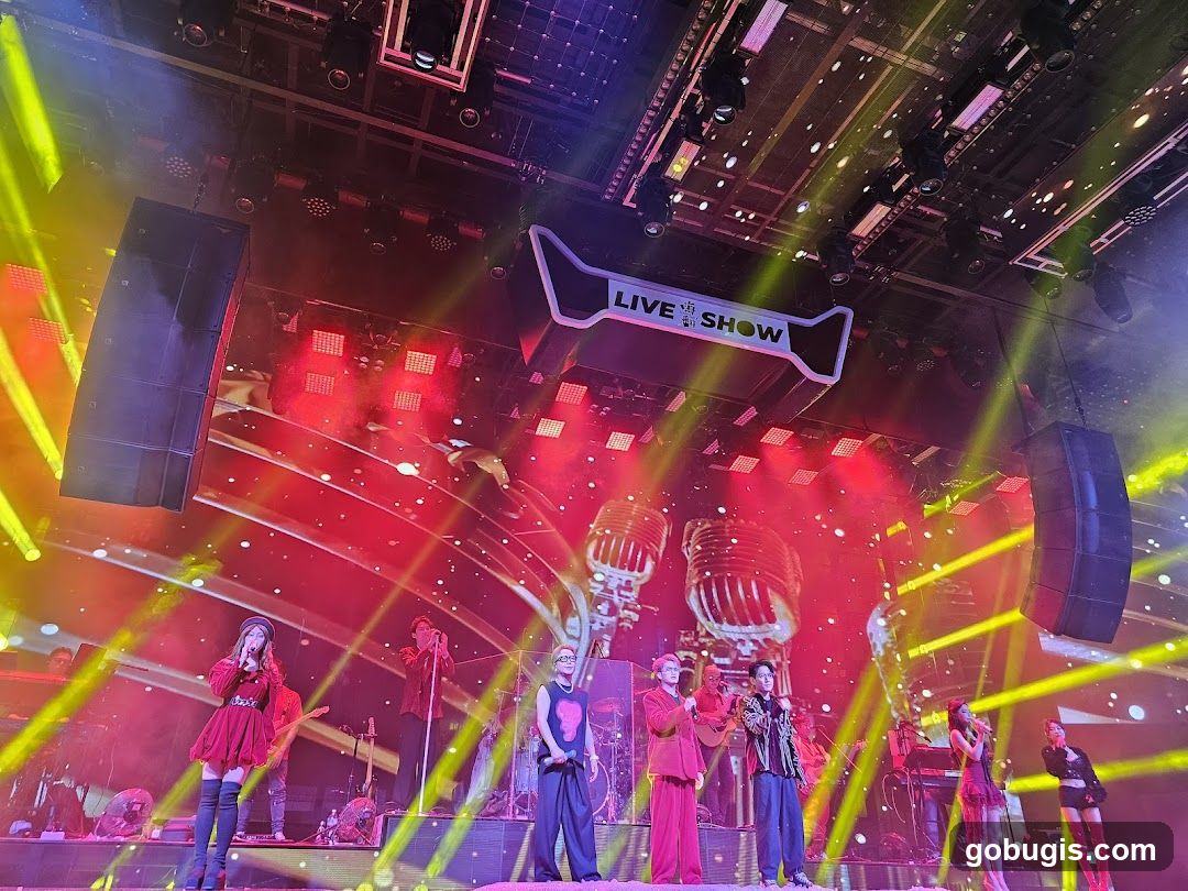 Live Show Performance