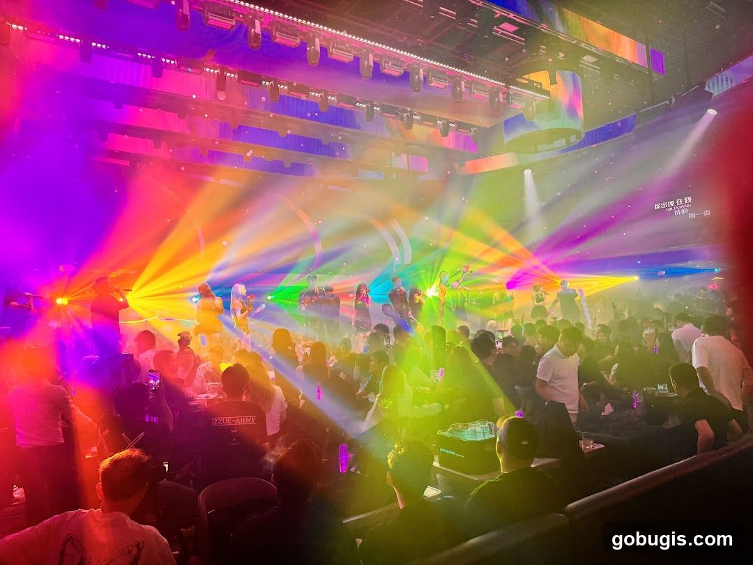Nightclub with Performers and Audience