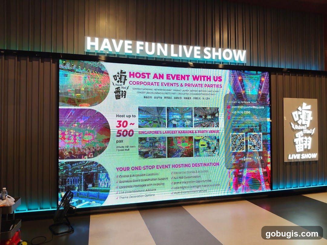 Have Fun Live Show Advertisement