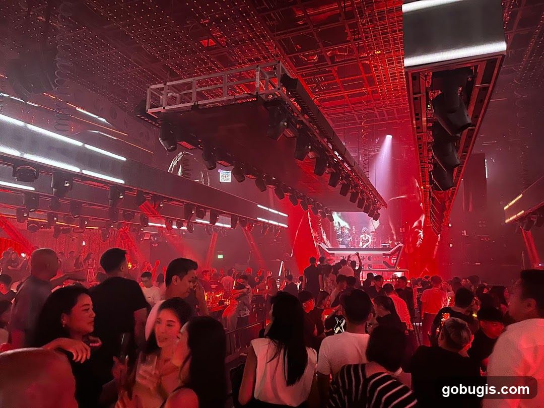 Nightclub with Crowd and DJ